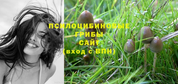 марки nbome Баксан