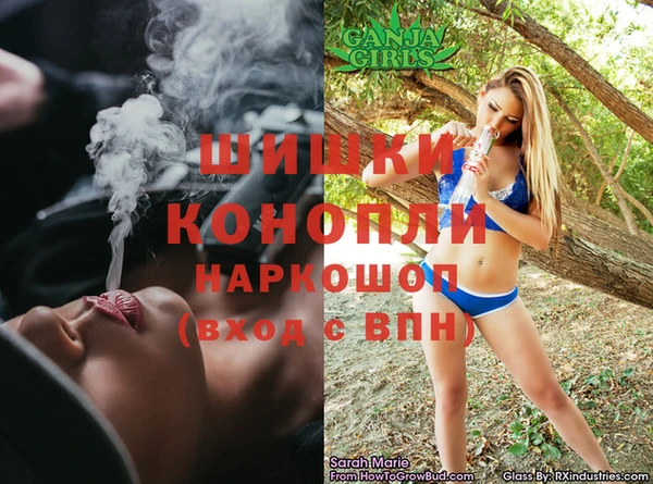 Альфа ПВП Аркадак