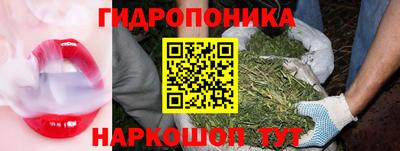 спиды Балашиха