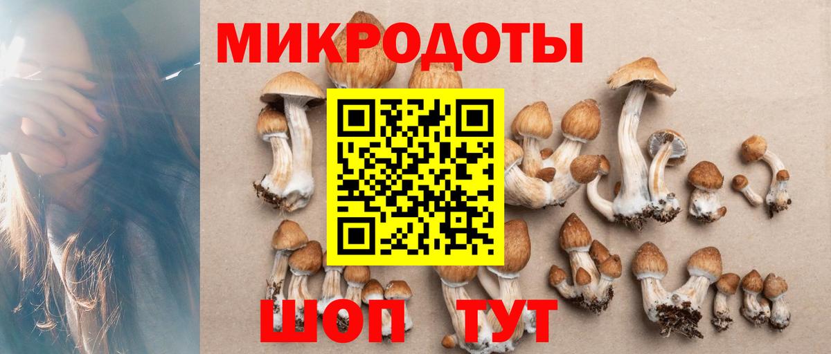 Псилоцибиновые грибы Magic Shrooms  Галлюциногенные грибы GOLDEN TEACHER  Вход с VPN  где купить наркоту  Верхняя Салда 
