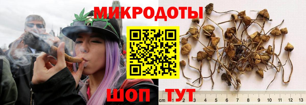 Галлюциногенные грибы ЛСД Верхняя Салда